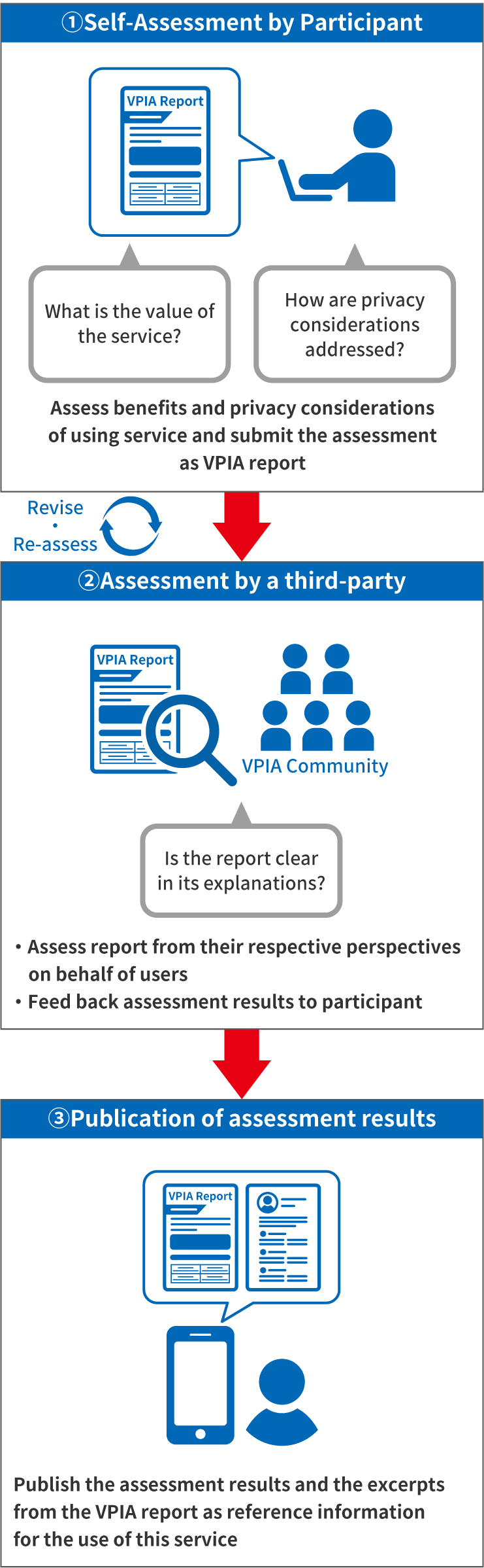 Full Process of VPIA