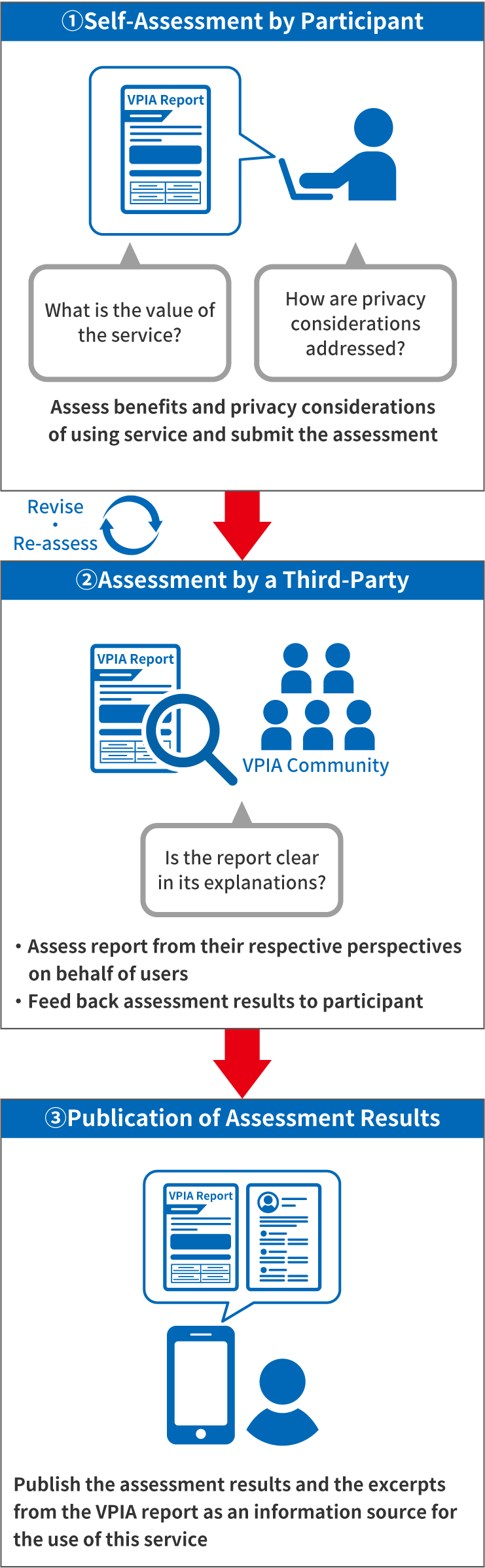 Full Process of VPIA